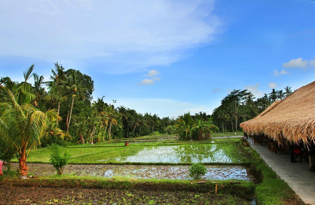 Sapulidi Resort Spa & Gallery Bali Ubud Esterno foto